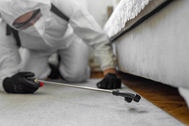 Professional Bed Bug Control technician working in Lathrop, MO